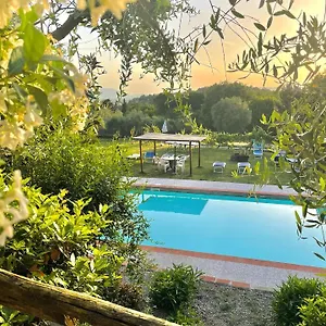 Alloro Capannori